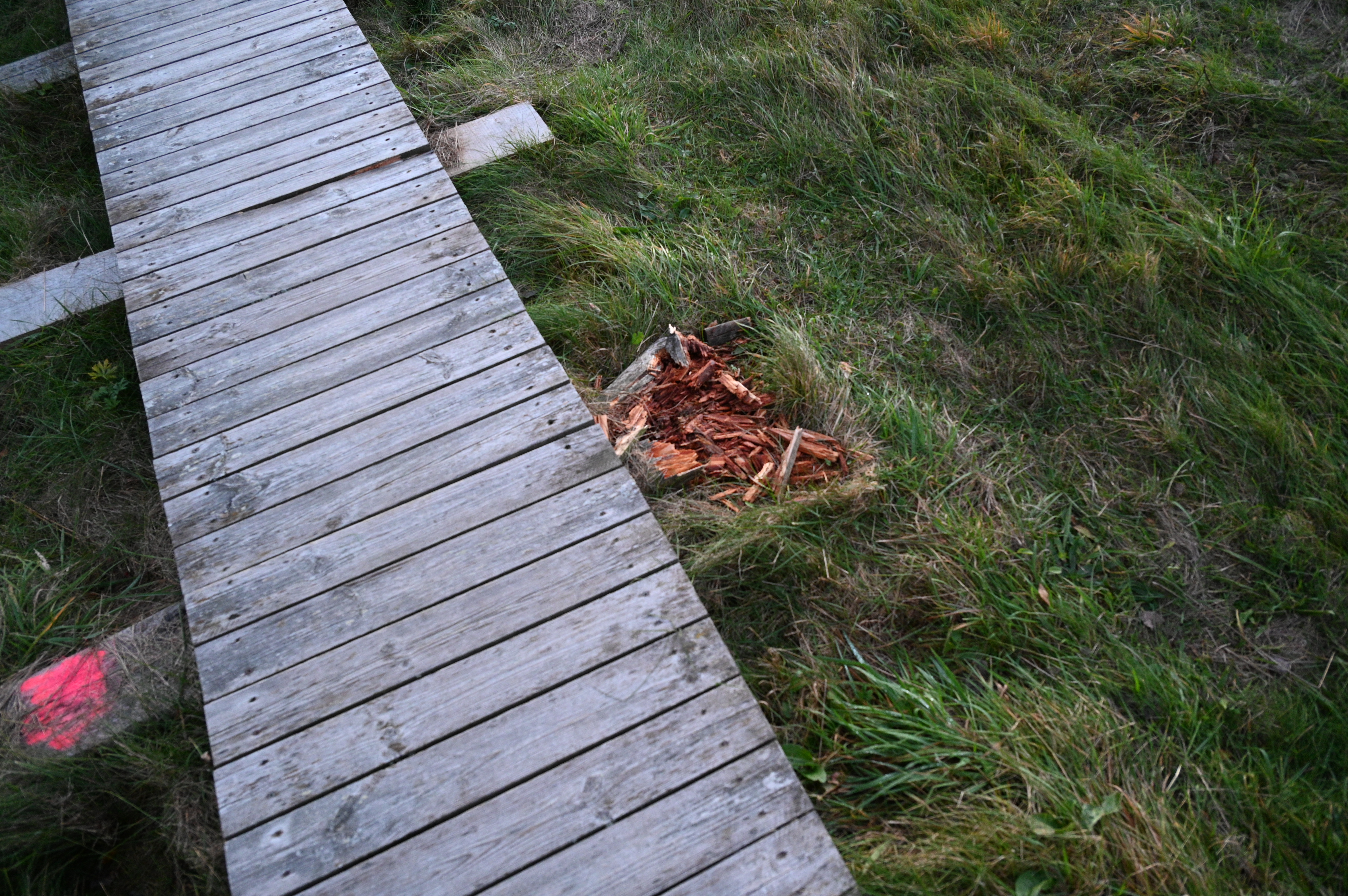 2025/10/18 - walk/DSC_0581.JPG